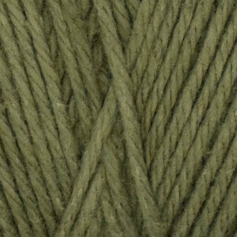 Coastal Cotton
