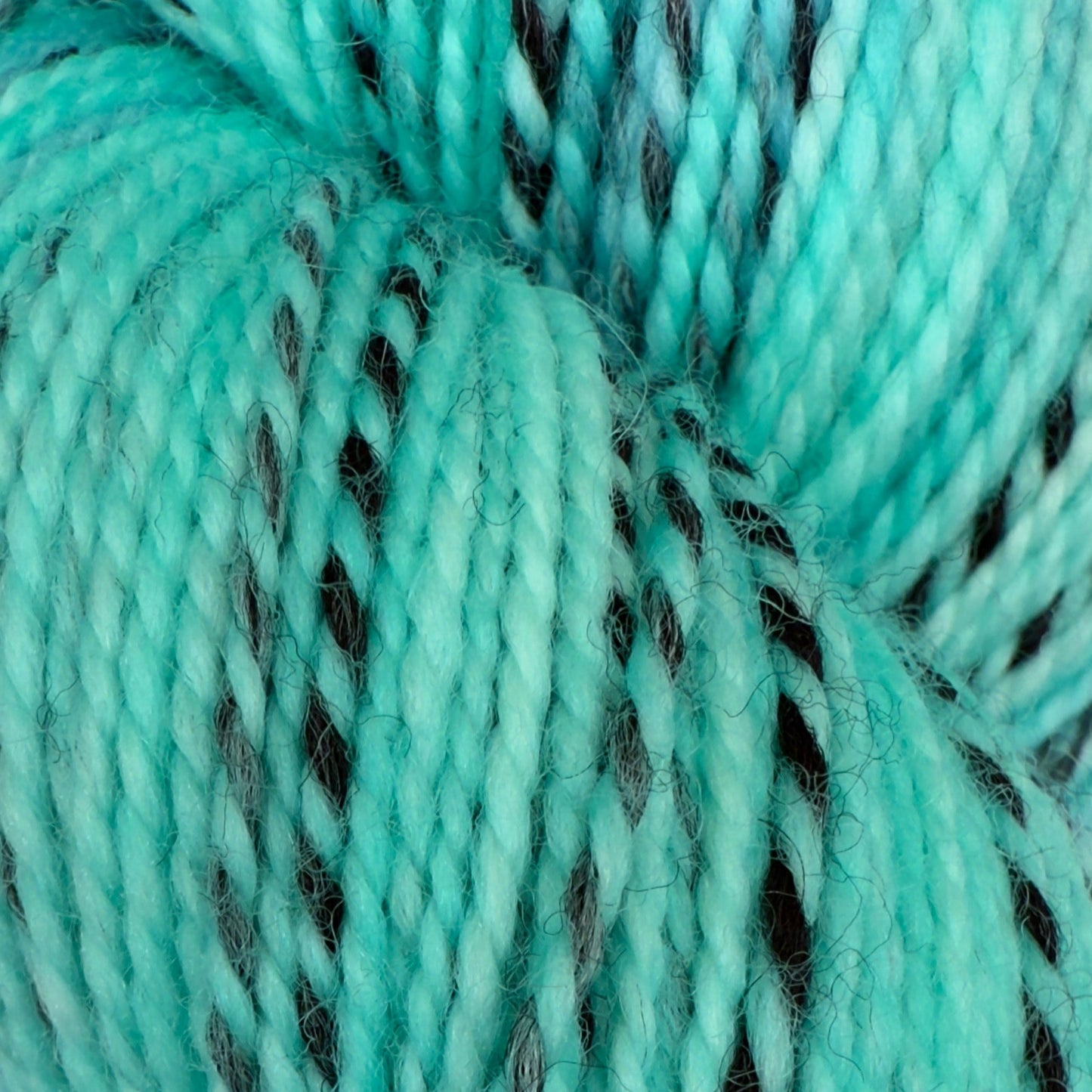 The Twist
