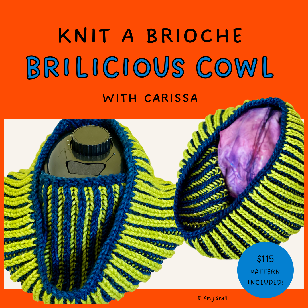 Learn to Knit Two Color Brioche with BriLicious