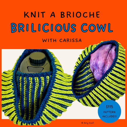 Learn to Knit Two Color Brioche with BriLicious