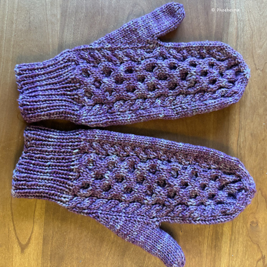 Knit Up Textured Badger Creek Mittens