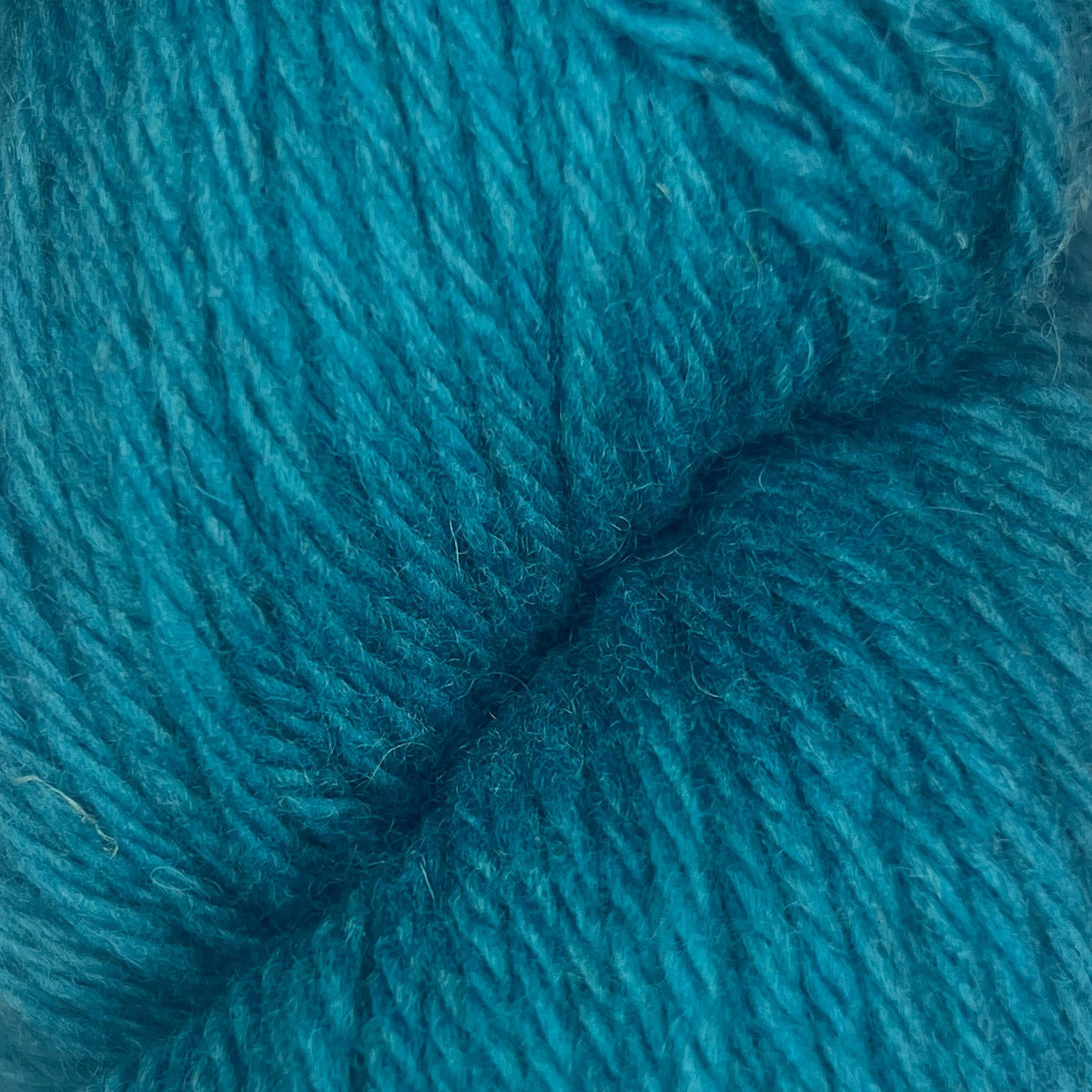 Santa Cruz Organic Merino