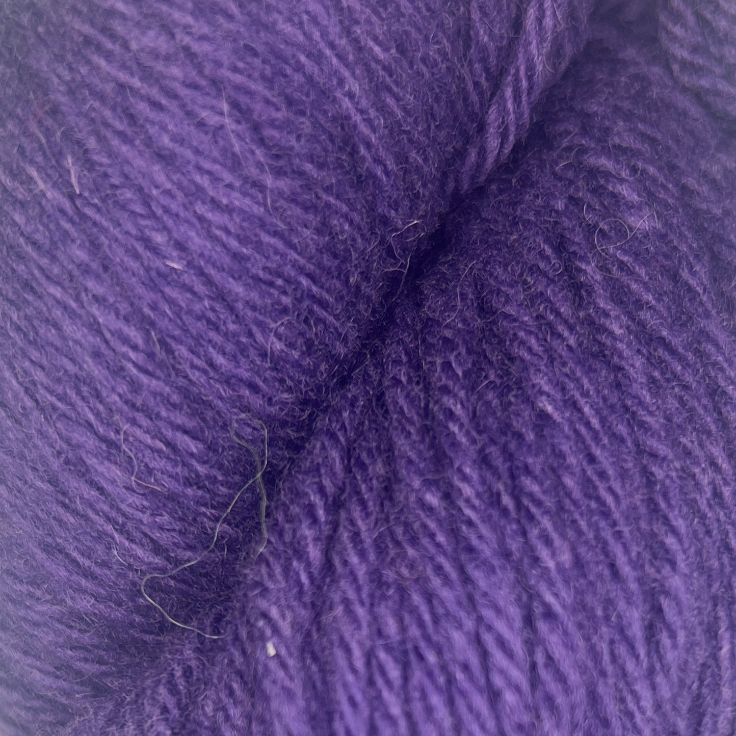 Santa Cruz Organic Merino