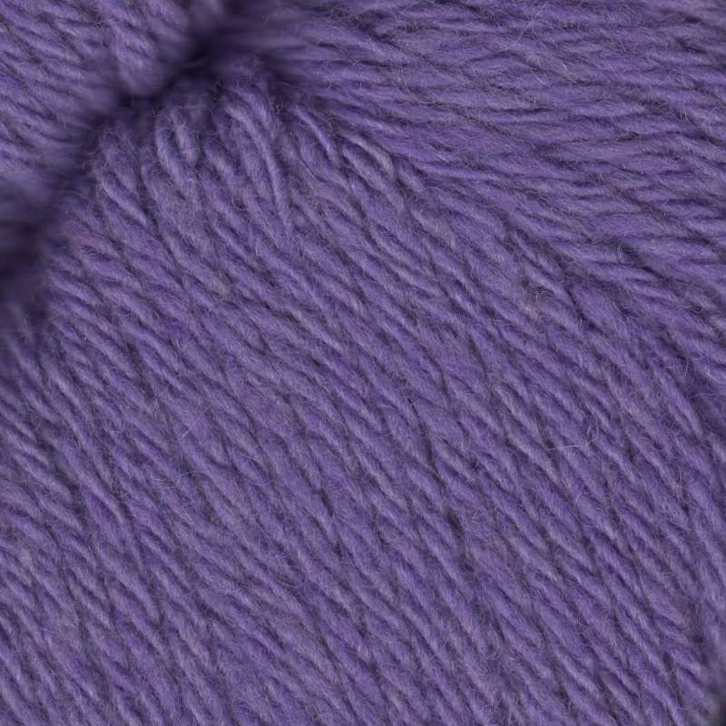 Santa Cruz Organic Merino