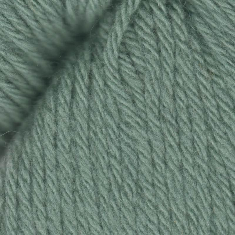 Santa Cruz Organic Merino