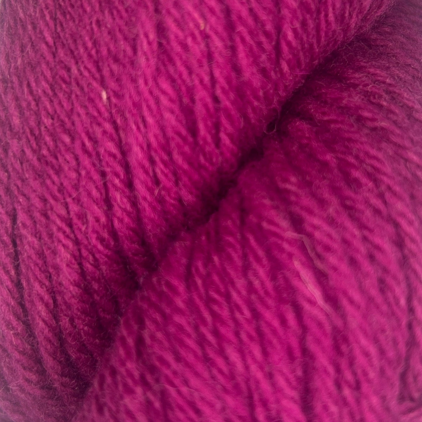 Santa Cruz Organic Merino