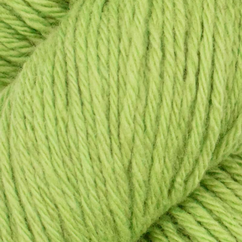 Santa Cruz Organic Merino