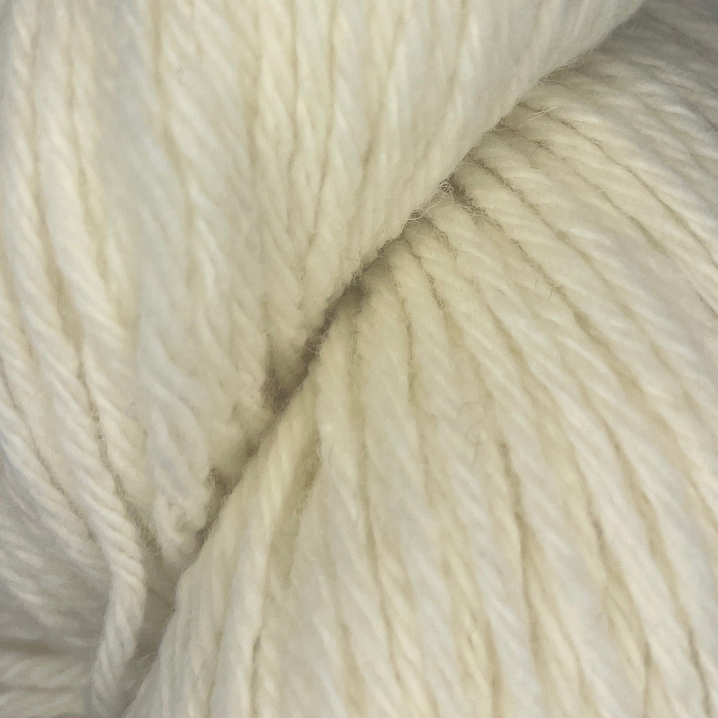 Santa Cruz Organic Merino